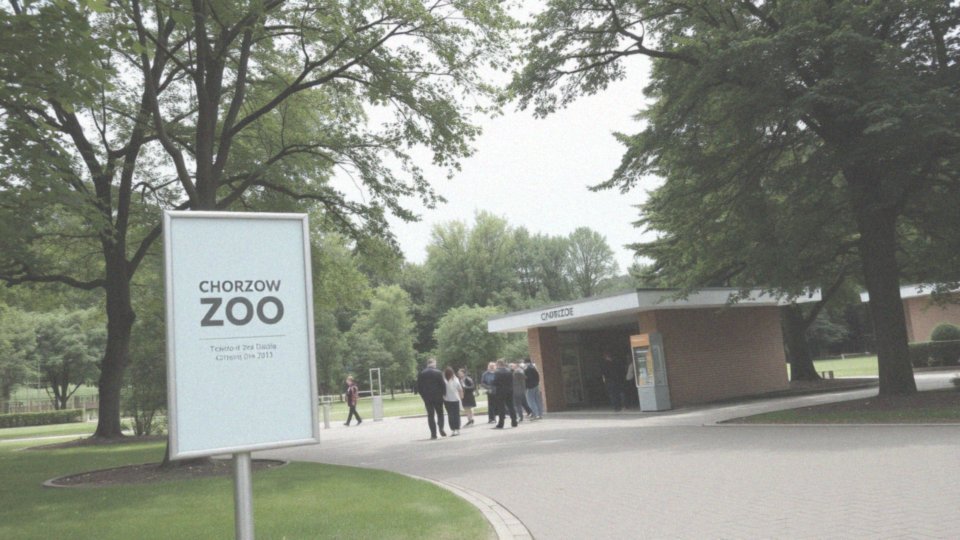 Jakie są dostępne zniżki i ulgi na bilety do zoo?
