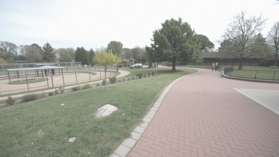 Ile czasu warto zarezerwować na zwiedzanie zoo w Opolu?