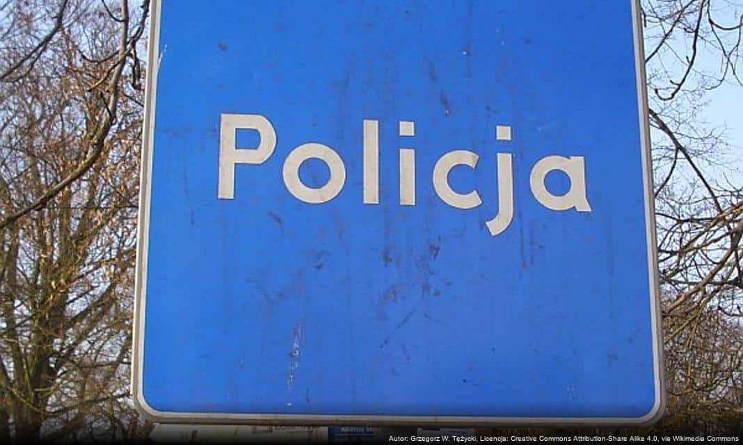 Kradzież pod sklepem w Poznaniu – zatrzymanie sprawców przez policję